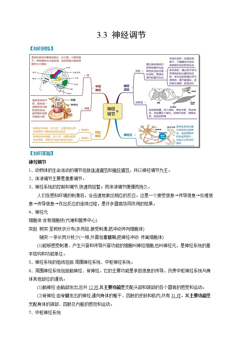 3.3 神经调节- 2022-2023学年八年级上册科学同步精品讲义（浙教版）01