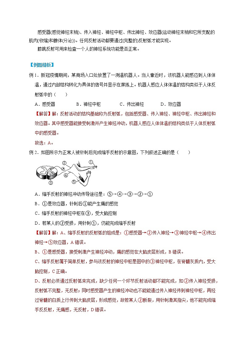 3.3 神经调节- 2022-2023学年八年级上册科学同步精品讲义（浙教版）03