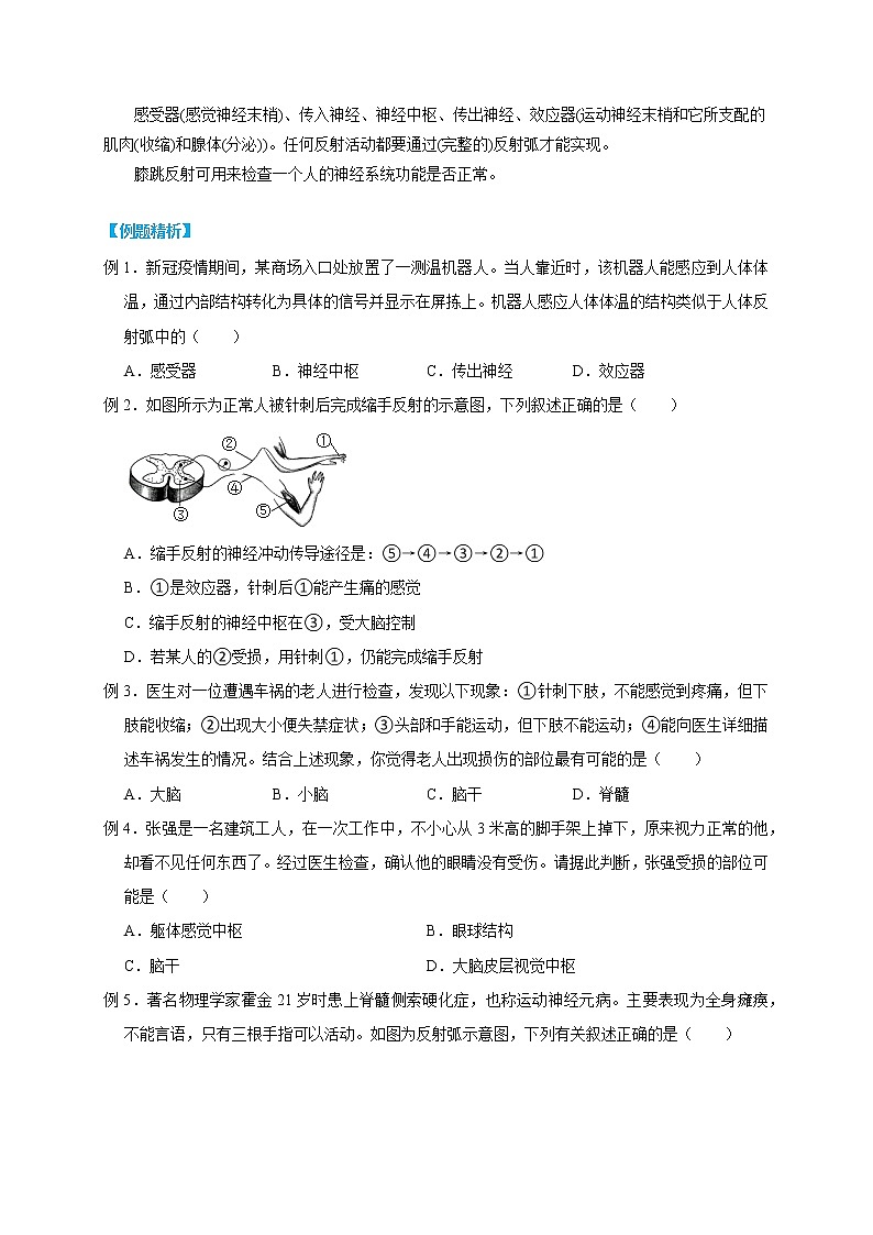 3.3 神经调节- 2022-2023学年八年级上册科学同步精品讲义（浙教版）03
