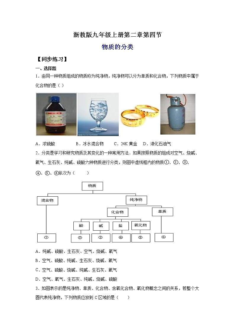 2.4物质的分类（练习）-2022-2023学年九年级上册科学讲练课堂（浙教版）01