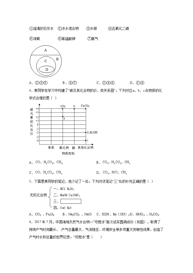 2.4物质的分类（练习）-2022-2023学年九年级上册科学讲练课堂（浙教版）02