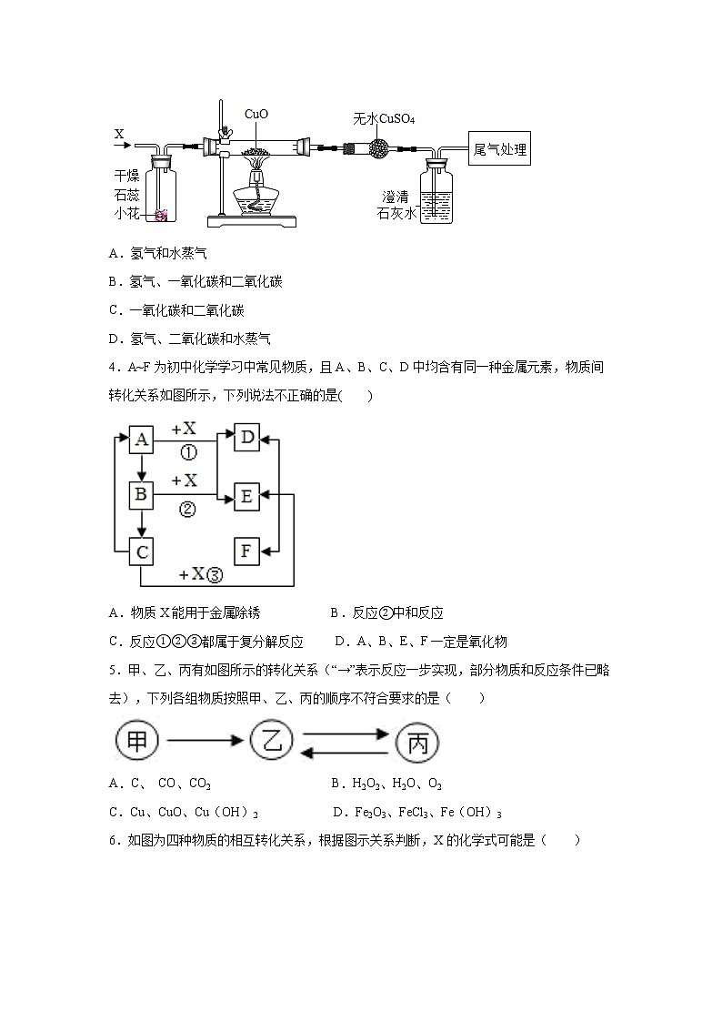 2.5物质的转化（练习）-2022-2023学年九年级上册科学讲练课堂（浙教版）02