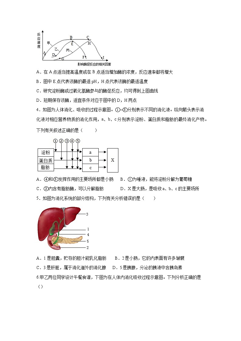 4.2食物的消化与吸收（练习）-2022-2023学年九年级上册科学讲练课堂（浙教版）02