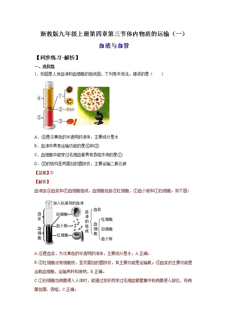 4.3.1体内物质的运输（一）（练习）-2022-2023学年九年级上册科学讲练课堂（浙教版）01