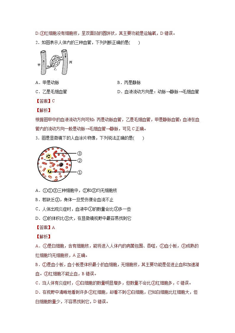 4.3.1体内物质的运输（一）（练习）-2022-2023学年九年级上册科学讲练课堂（浙教版）02