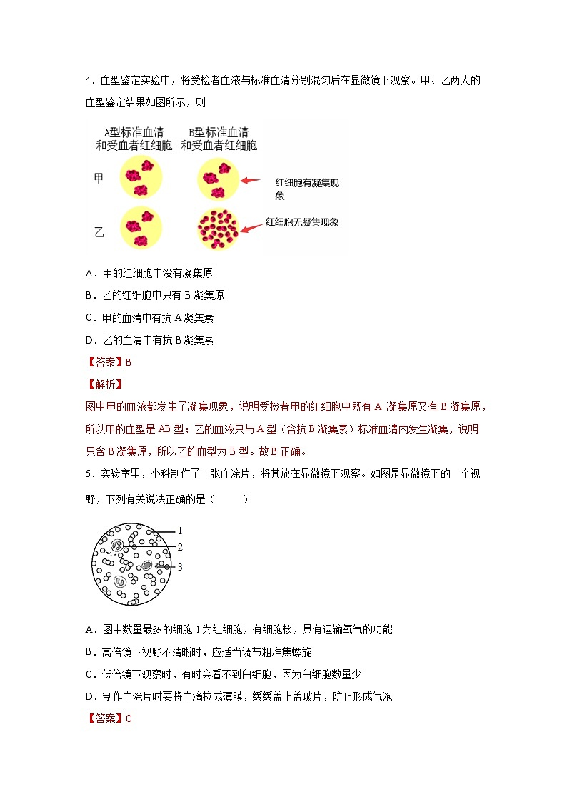 4.3.1体内物质的运输（一）（练习）-2022-2023学年九年级上册科学讲练课堂（浙教版）03