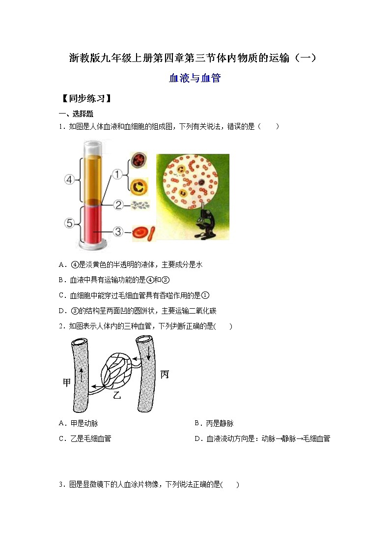 4.3.1体内物质的运输（一）（练习）-2022-2023学年九年级上册科学讲练课堂（浙教版）01