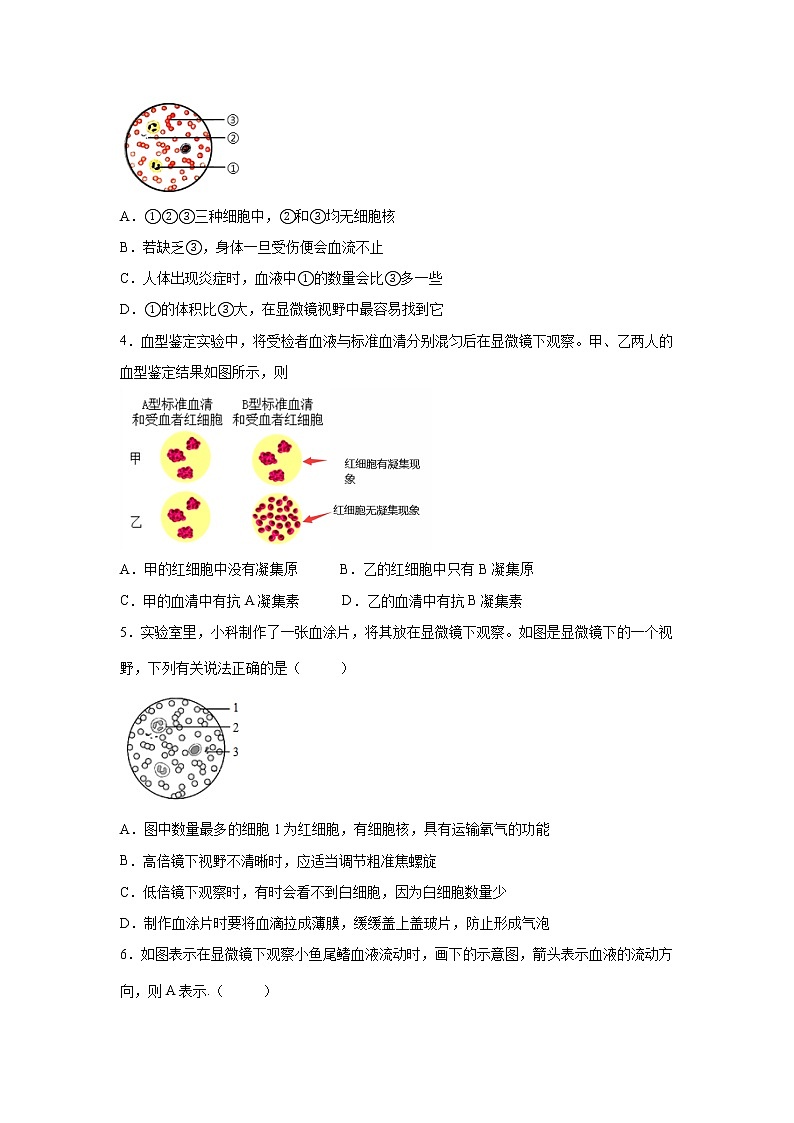 4.3.1体内物质的运输（一）（练习）-2022-2023学年九年级上册科学讲练课堂（浙教版）02
