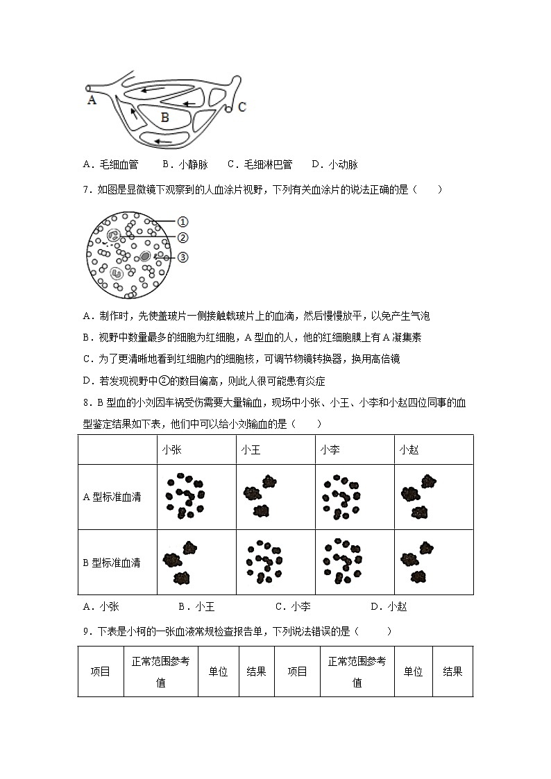 4.3.1体内物质的运输（一）（练习）-2022-2023学年九年级上册科学讲练课堂（浙教版）03