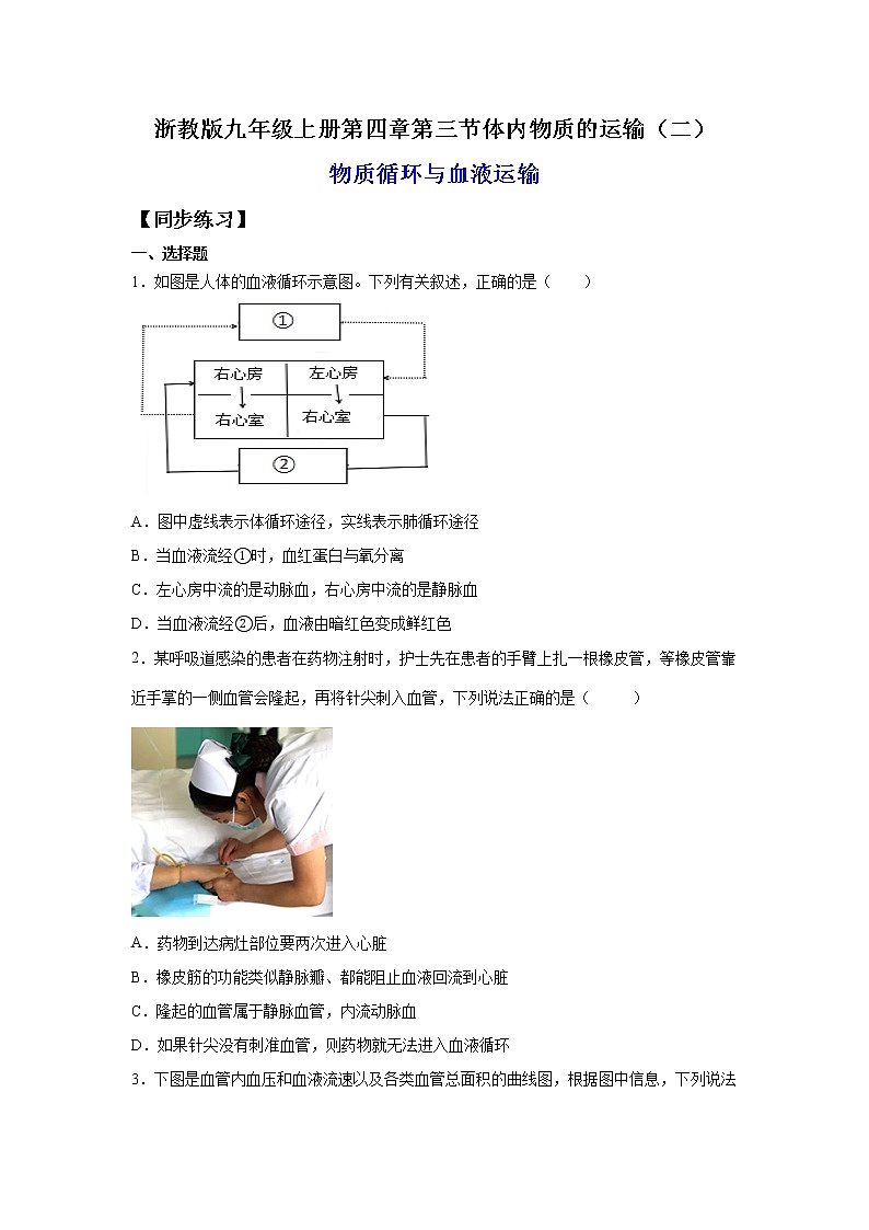 4.3.2体内物质的运输（二）（练习）-2022-2023学年九年级上册科学讲练课堂（浙教版）01