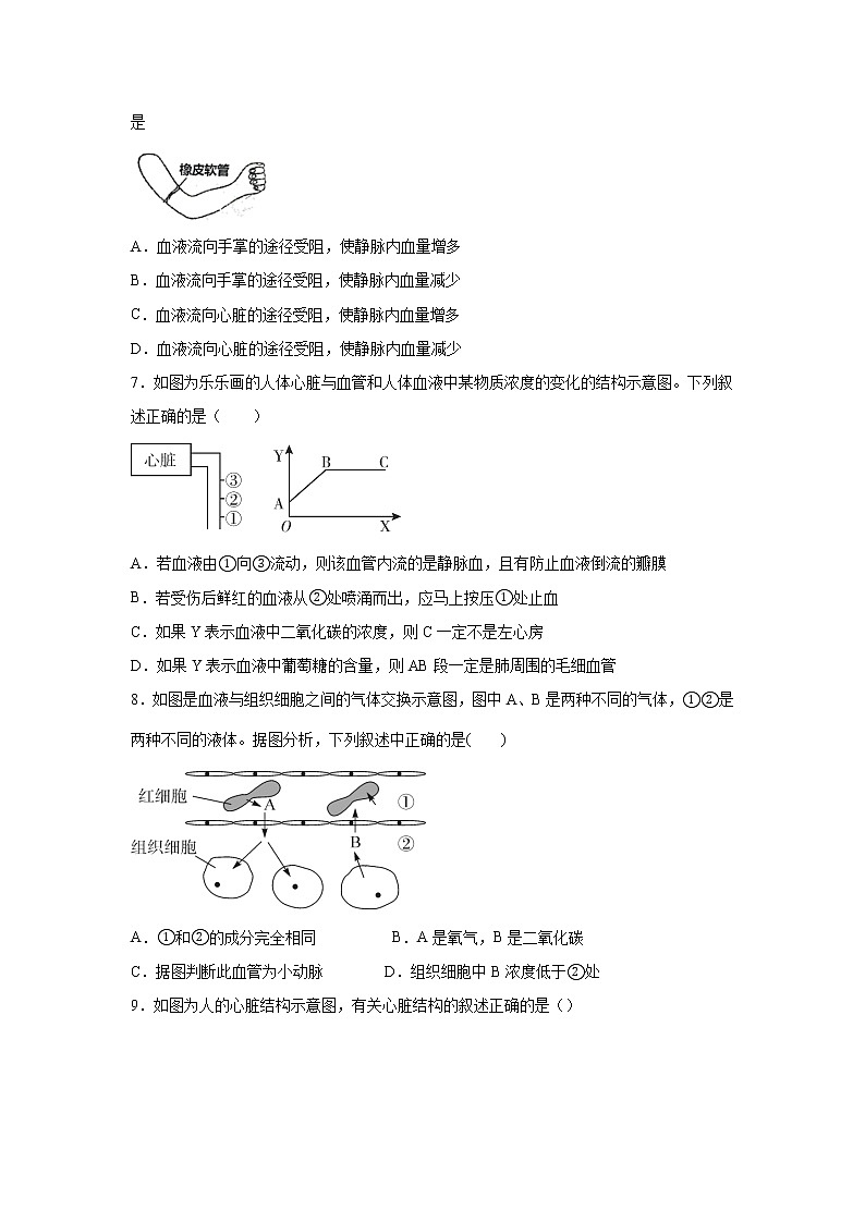 4.3.2体内物质的运输（二）（练习）-2022-2023学年九年级上册科学讲练课堂（浙教版）03