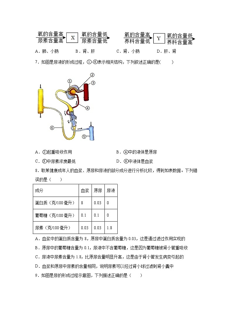 4.5体内物质的动态平衡（练习）-2022-2023学年九年级上册科学讲练课堂（浙教版）03