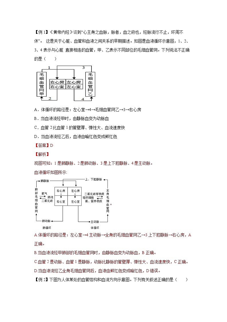 4.3.2体内物质的运输（二）（讲义）-2022-2023学年九年级上册科学讲练课堂（浙教版）03