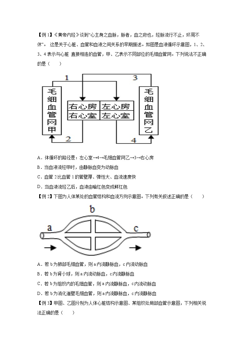 4.3.2体内物质的运输（二）（讲义）-2022-2023学年九年级上册科学讲练课堂（浙教版）03
