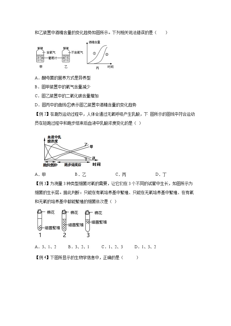 4.4能量的获得（讲义）-2022-2023学年九年级上册科学讲练课堂（浙教版）03