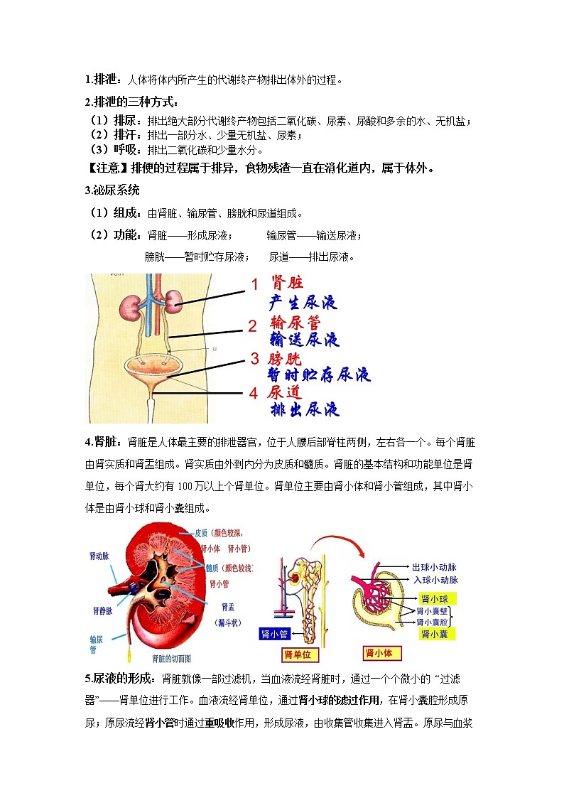 4.5体内物质的动态平衡（讲义）-2022-2023学年九年级上册科学讲练课堂（浙教版）02