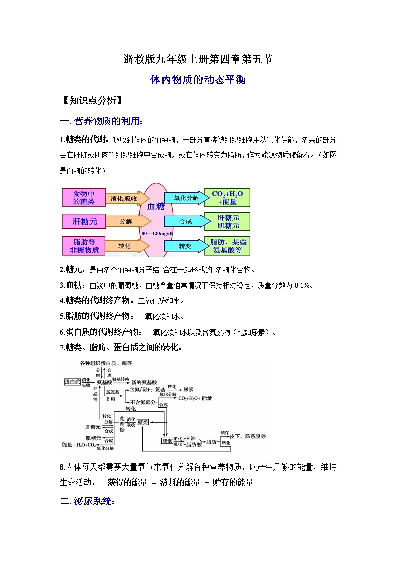 4.5体内物质的动态平衡（讲义）-2022-2023学年九年级上册科学讲练课堂（浙教版）01