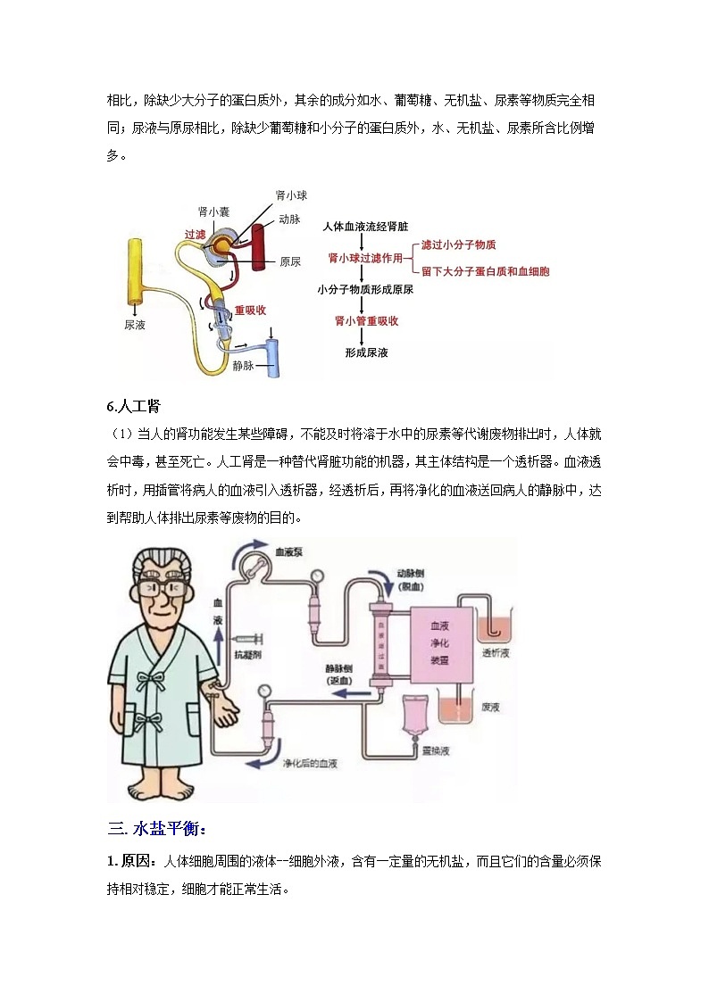 4.5体内物质的动态平衡（讲义）-2022-2023学年九年级上册科学讲练课堂（浙教版）03