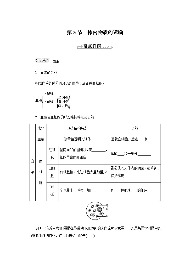 浙教版九年级科学上册章节复习 第四章第3节　体内物质的运输讲义01