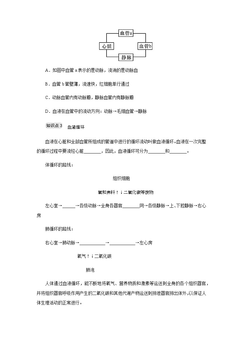 浙教版九年级科学上册章节复习 第四章第3节　体内物质的运输讲义03