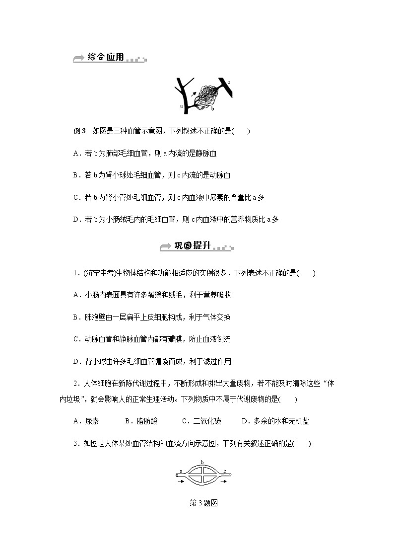 浙教版九年级科学上册章节复习 第四章本章复习讲义03