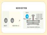 浙教版科学 八年级下册 2.7 元素符号表示的量 （课件+练习）