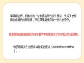 浙教版科學(xué) 八年級下冊 3.2 氧化和燃燒 第1課時(shí) （課件+練習(xí)）