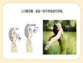浙教版科学 八年级下册 3.5 生物的呼吸和呼吸作用 第1课时 （课件+练习）