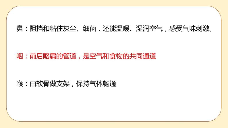 浙教版科学 八年级下册 3.5 生物的呼吸和呼吸作用 第1课时 （课件+练习）04