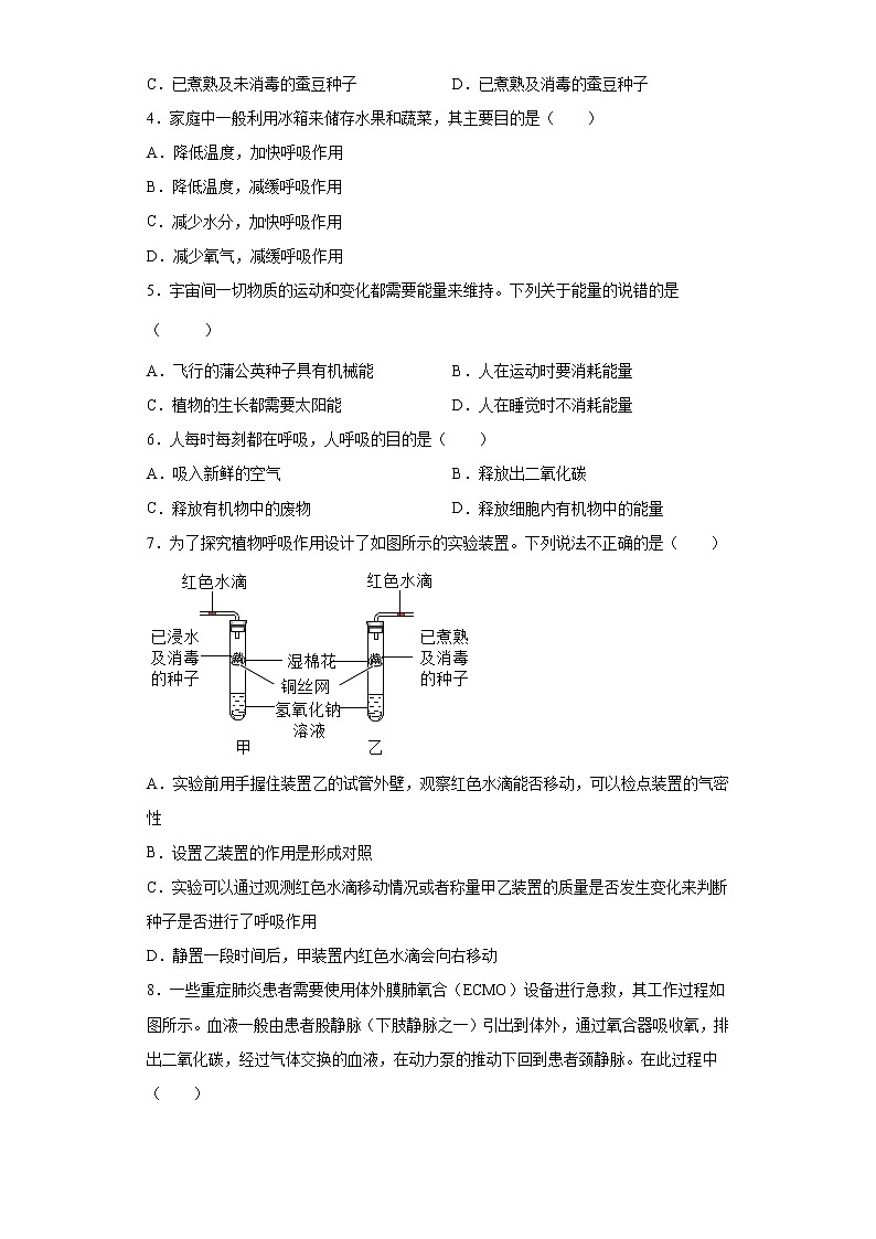 浙教版科学 八年级下册 3.5 生物的呼吸和呼吸作用 第2课时 （课件+练习）02