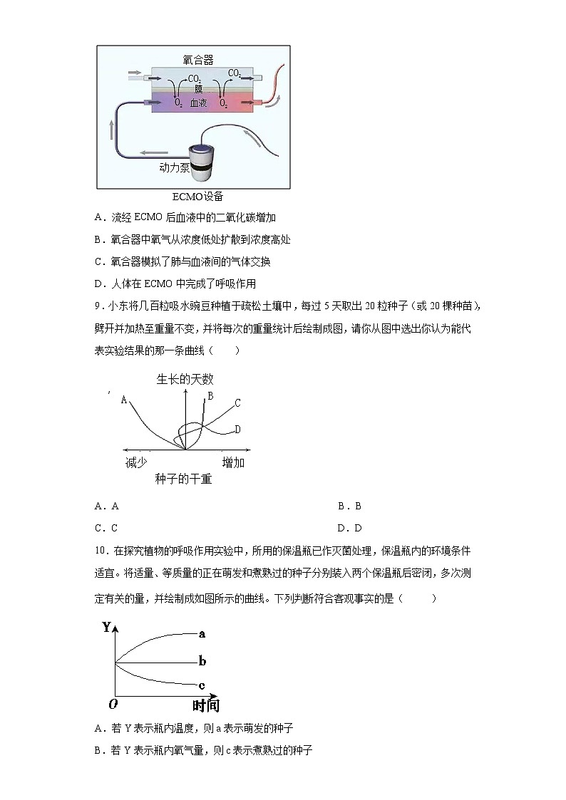 浙教版科学 八年级下册 3.5 生物的呼吸和呼吸作用 第2课时 （课件+练习）03