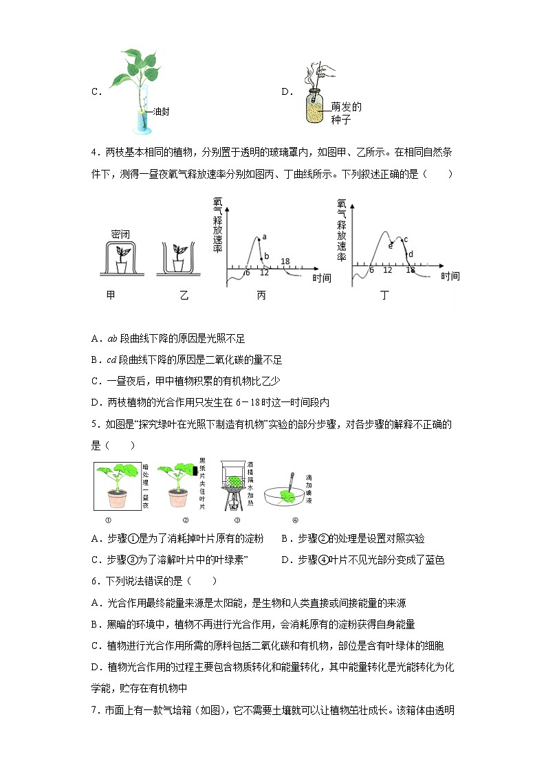 3.6 光合作用第1课时（练习）第2页