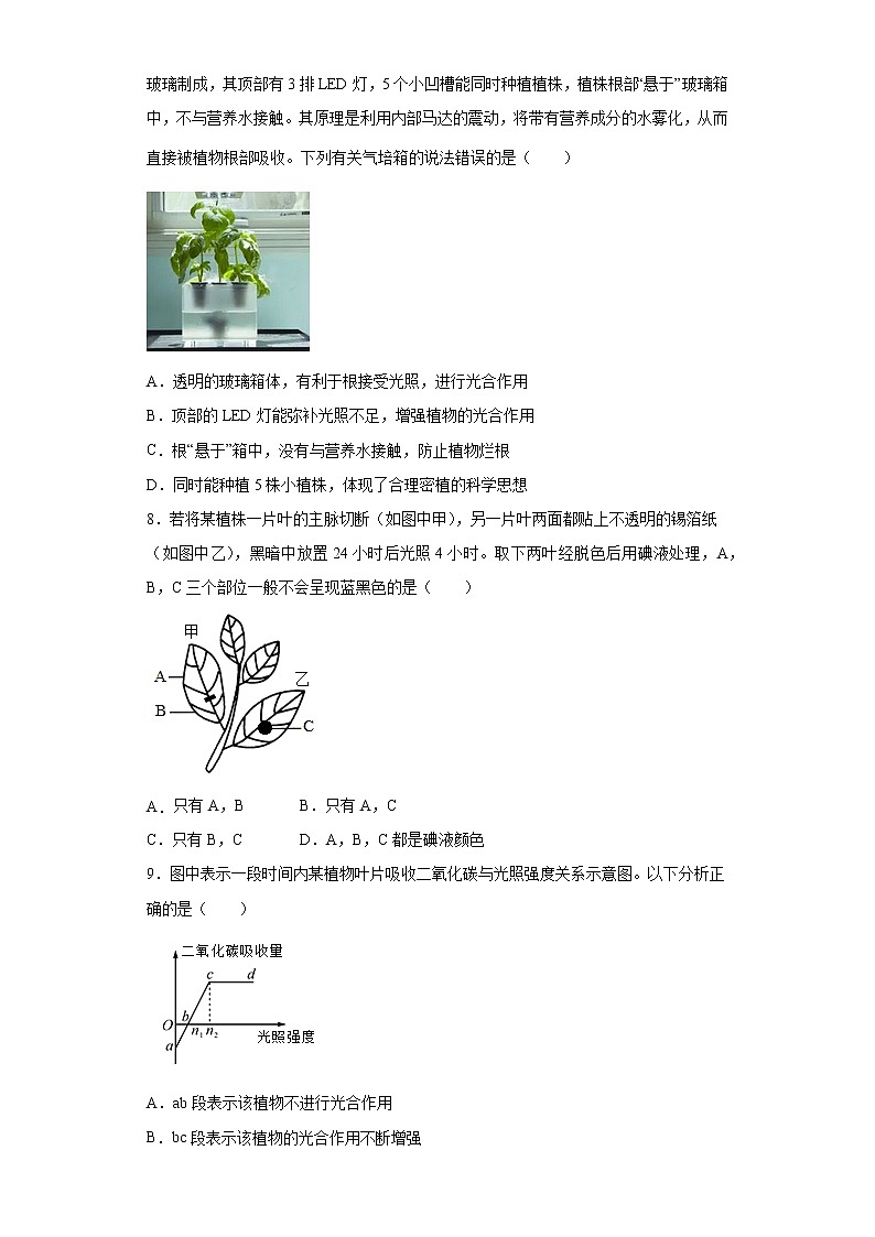 3.6 光合作用第1课时（练习）第3页