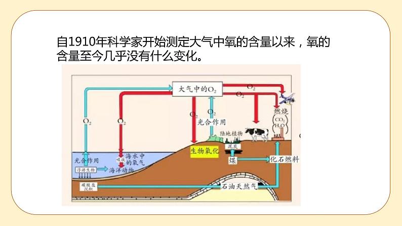 3.7 自然界中的氧循环和碳循环 课件第6页