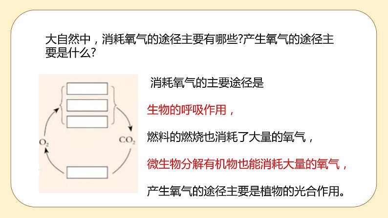 3.7 自然界中的氧循环和碳循环 课件第7页