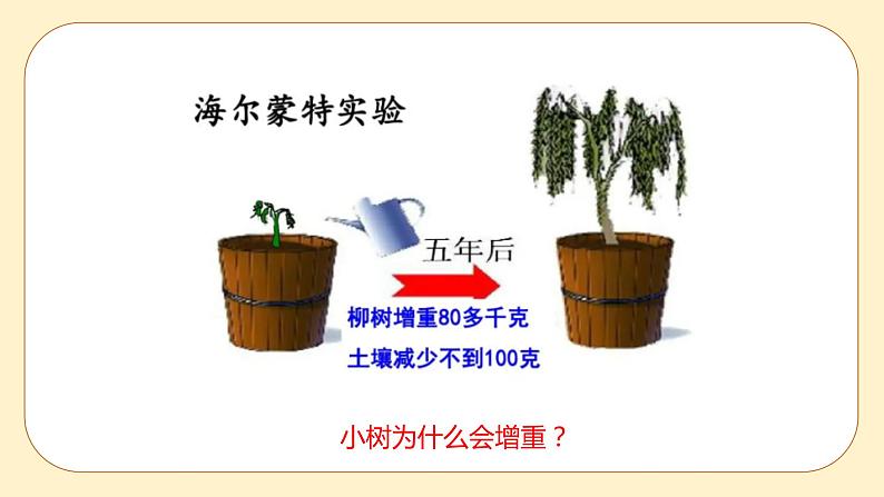 3.6 光合作用第2课时 课件第2页