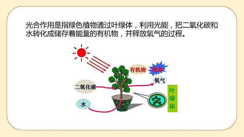 3.6 光合作用第2课时 课件第3页
