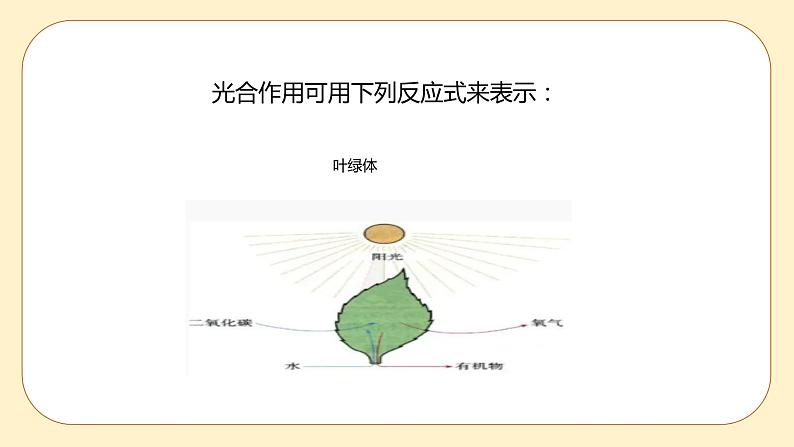 3.6 光合作用第2课时 课件第4页