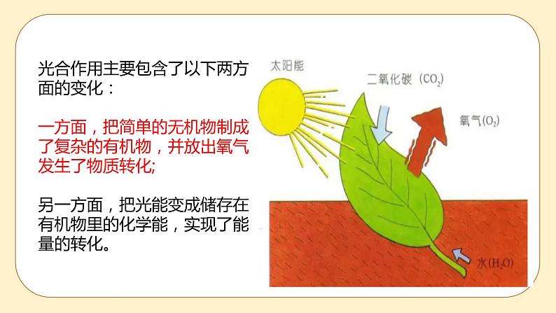 3.6 光合作用第2课时 课件第6页