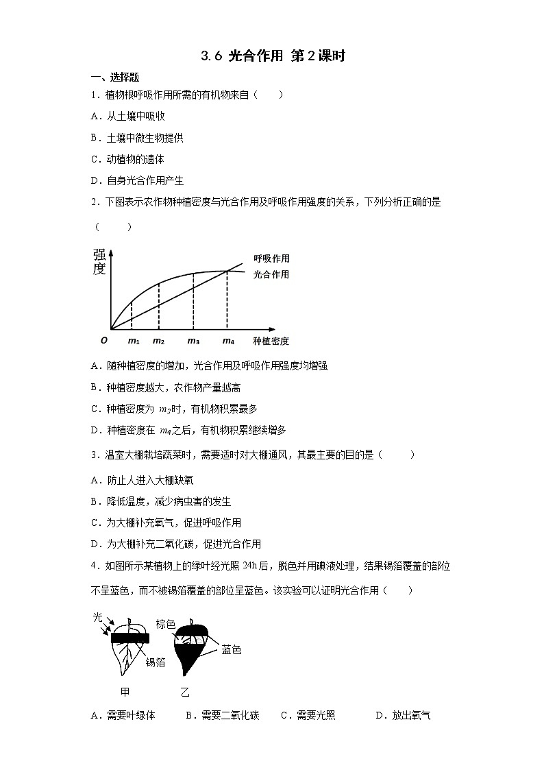 3.6 光合作用第2课时（练习）第1页