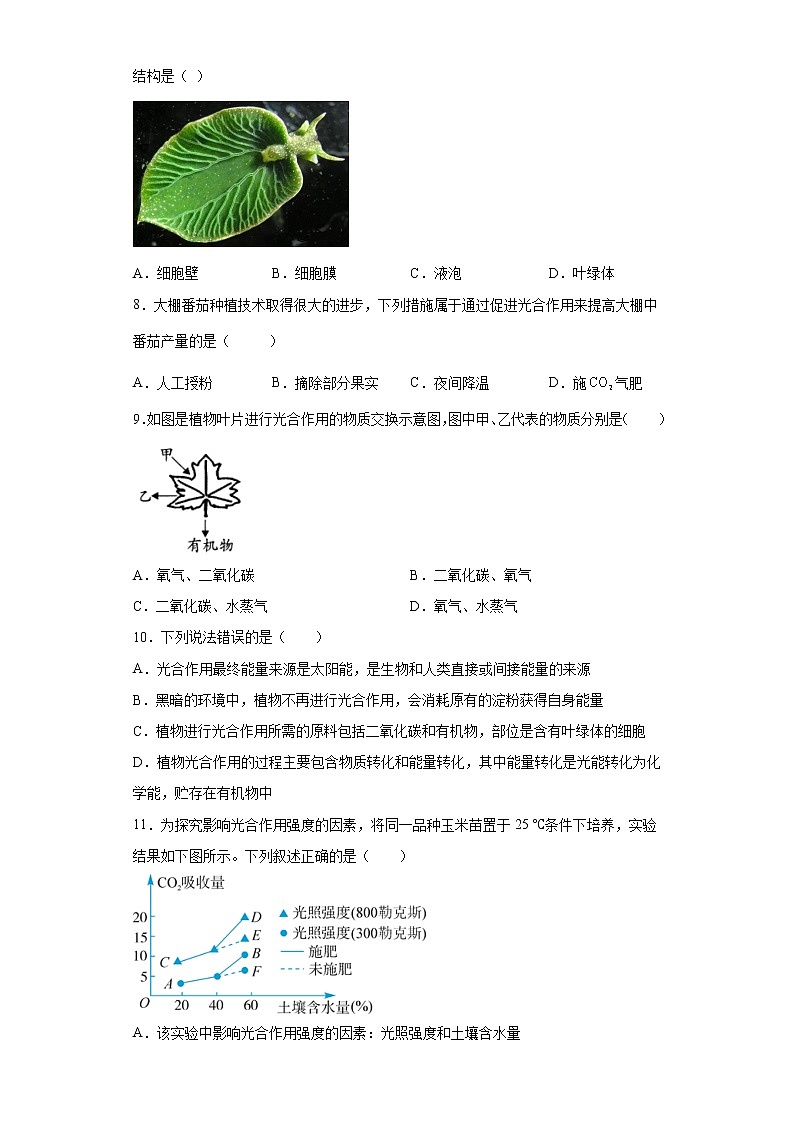 3.6 光合作用第2课时（练习）第3页