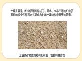 浙教版科学 八年级下册 4.2  各种各样的土壤 （课件+练习）