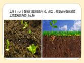 浙教版科学 八年级下册 4.1 土壤的成分 （课件+练习）