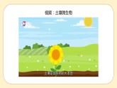 浙教版科学 八年级下册 4.1 土壤的成分 （课件+练习）