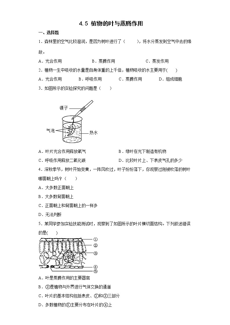 4.5 植物的叶与蒸腾作用 练习第1页