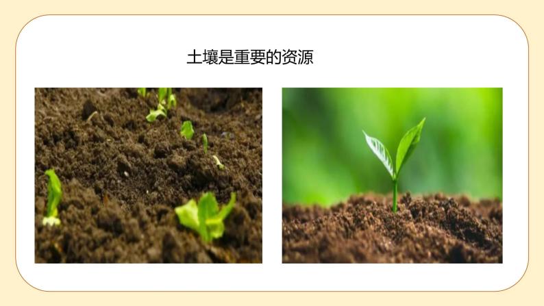 浙教版科学 八年级下册 4.6 保护土壤 （课件+练习）02