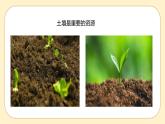 浙教版科学 八年级下册 4.6 保护土壤 （课件+练习）