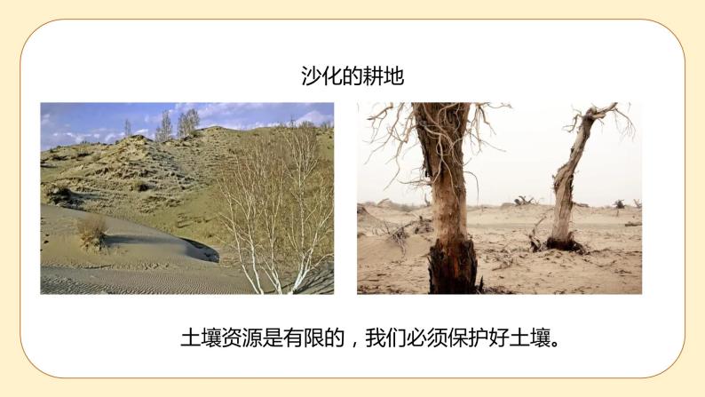 浙教版科学 八年级下册 4.6 保护土壤 （课件+练习）06
