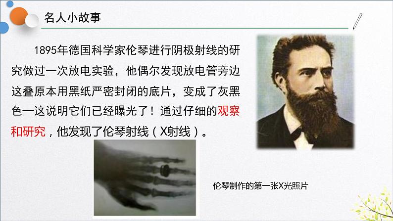 浙教版七年级科学上册 1.3 科学观察课件02