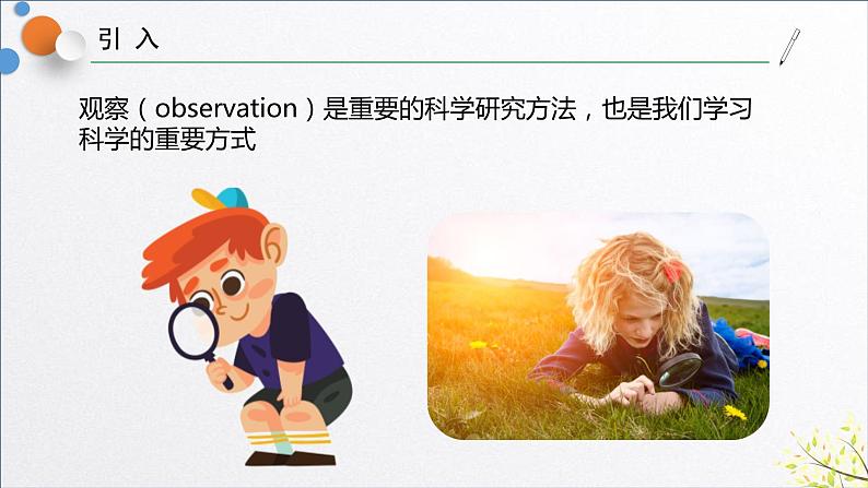 浙教版七年级科学上册 1.3 科学观察课件03